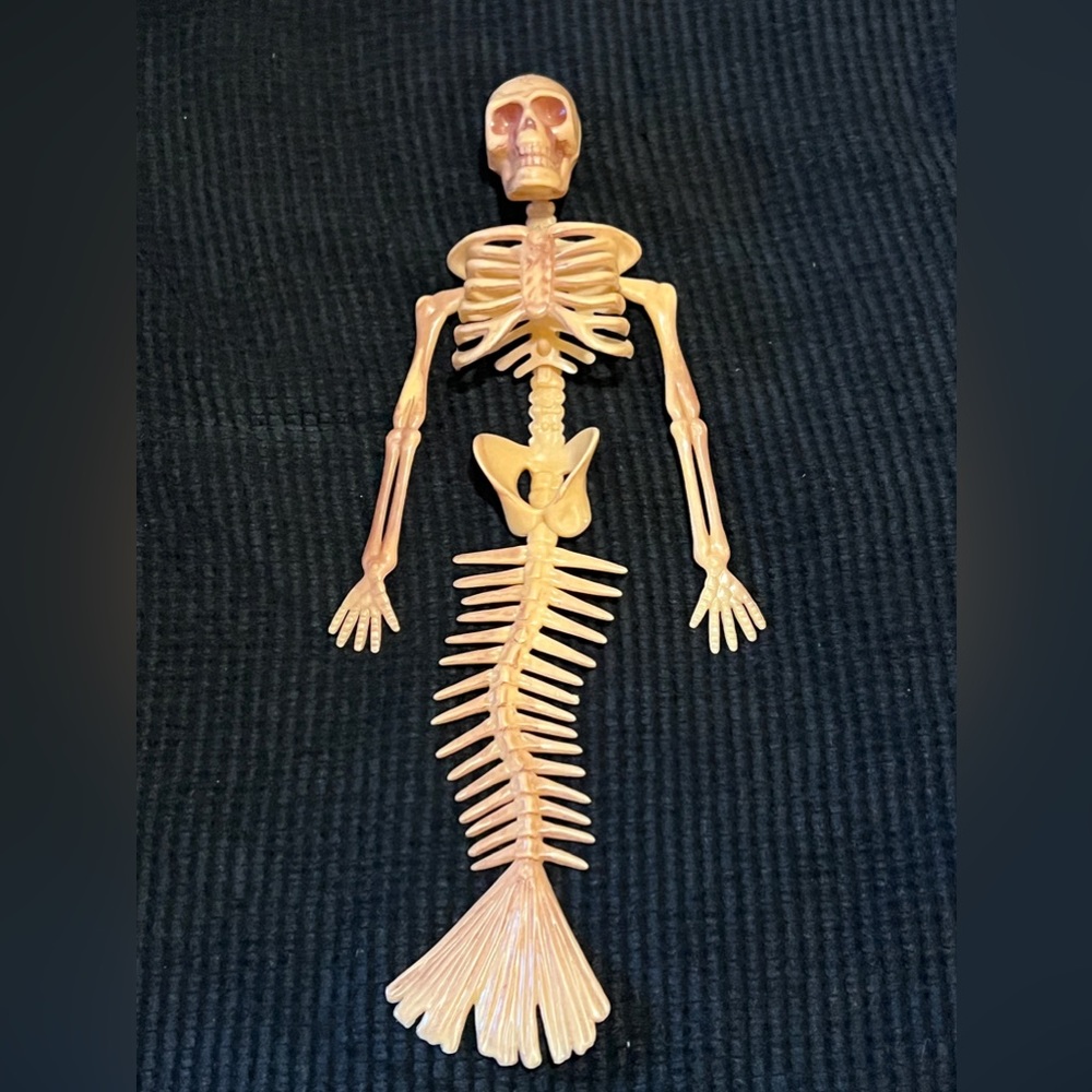 Mermaid skeleton